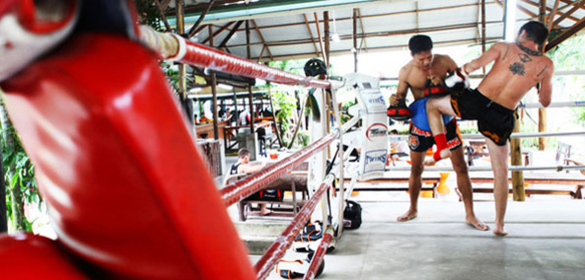 TIGER MUAY THAI & MMA CAMP