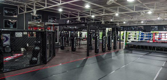MAXIMUM FITNESS & COMBAT
