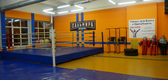 "ПАЛЬМИРА" Клуб смешанных единоборств 
