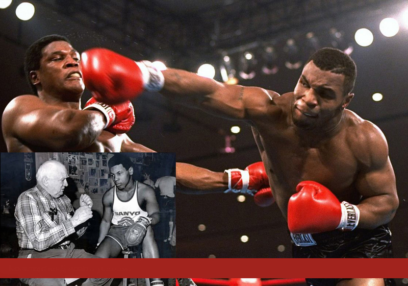 Coach for MMA and Boxing and over martial arts GoFightGo.com
