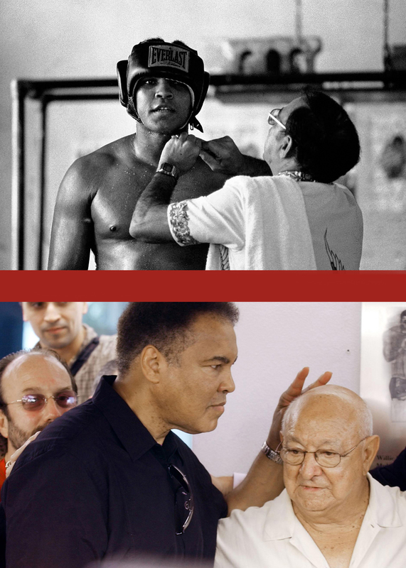 Coach for MMA and Boxing and over martial arts GoFightGo.com