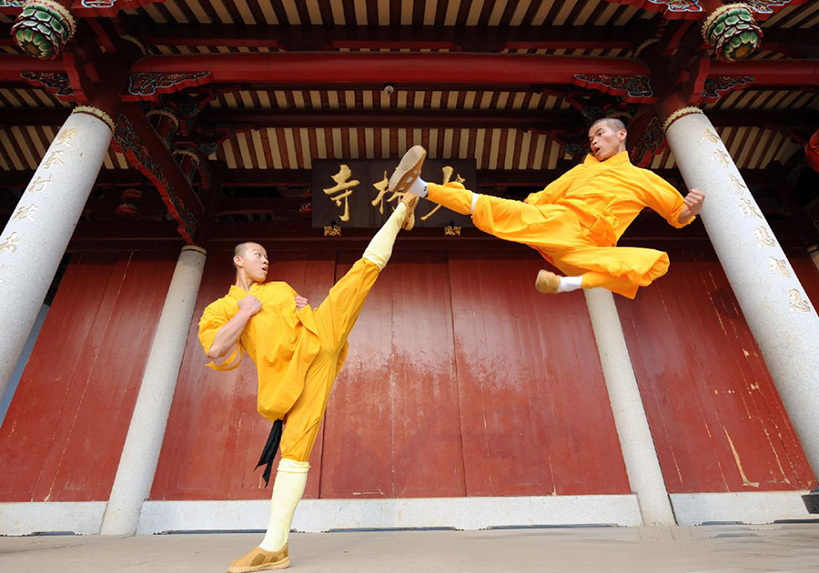 Wushu styles - GoFightGo.com